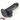 6.57in Realistic Male Female Anal Dildo For Prostate Intimate Masturbator Real Dildos